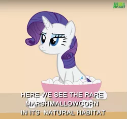 Size: 725x685 | Tagged: animal planet, artist:forgalorga, caption, david attenborough, derpibooru import, documentary, exploitable meme, food, image macro, marshmallow, meme, nature documentary, nature is so fascinating, obligatory pony, rarity, rarity is a marshmallow, rarity is not amused, safe, solo, text, unamused, your little pets