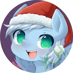 Size: 3491x3494 | Tagged: safe, artist:nekowyn, derpibooru import, oc, oc:arctic breeze, unofficial characters only, pony, christmas, commission, digital art, hat, high res, holiday, looking at you, male, open mouth, signature, solo, stallion, ych result