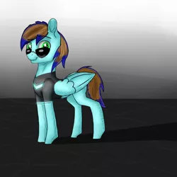 Size: 1000x1000 | Tagged: safe, artist:5oussn, derpibooru import, oc, oc:crizstorm, unofficial characters only, pegasus, pony, clothes, glasses, looking at you, male, requested art, solo