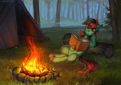 Size: 1273x900 | Tagged: safe, artist:margony, derpibooru import, oc, oc:forest farseer, unofficial characters only, earth pony, pony, book, campfire, female, fog, forest, grass, looking at you, mare, nature, resting, scenery, sitting, solo, tent, tree