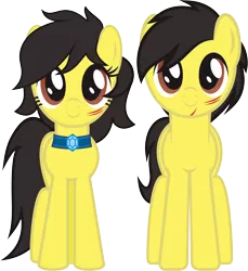 Size: 4378x4777 | Tagged: safe, artist:alphatea, derpibooru import, oc, oc:artpen, oc:penny-pen, earth pony, pony, 2019 community collab, derpibooru community collaboration, absurd resolution, female, jewelry, looking at you, male, mare, messy mane, necklace, simple background, smiling, smiling at you, stallion, standing, transparent background