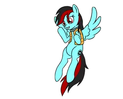 Size: 2300x1857 | Tagged: safe, artist:daytona, derpibooru import, oc, oc:daytona, pegasus, pony, black and red mane, coast guard vest, collar, female, mare, simple background, transparent background