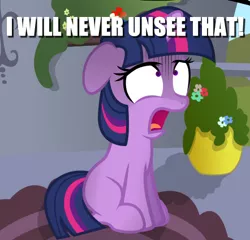 Size: 442x424 | Tagged: cannot unsee, caption, derpibooru import, horrified, image macro, reaction image, safe, text, twilight sparkle