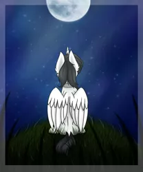 Size: 2500x3000 | Tagged: safe, artist:rskyfly, derpibooru import, oc, oc:shiron, unofficial characters only, alicorn, pony, alicorn oc, commission, digital art, folded wings, high res, horn, looking up, male, moon, night, signature, sitting, solo, stallion, stars, wings, ych result