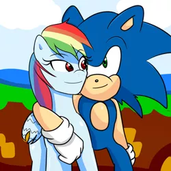 Size: 2000x2000 | Tagged: safe, artist:soul-yagami64, derpibooru import, rainbow dash, pegasus, pony, crossover, crossover shipping, female, interspecies, male, shipping, sonic the hedgehog, sonic the hedgehog (series), sonicdash, straight