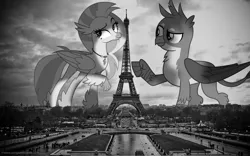 Size: 1600x1001 | Tagged: safe, artist:andrevus, artist:frownfactory, artist:somerandomminion, derpibooru import, gallus, silverstream, classical hippogriff, gryphon, hippogriff, pony, black and white, eiffel tower, female, france, gallstream, giant griffon, giant ponies in real life, giant/macro hippogriff, gigallus, gigastream, grayscale, irl, macro, male, mega giant, monochrome, paris, photo, photoshop, ponies in real life, shipping, story in the source, straight