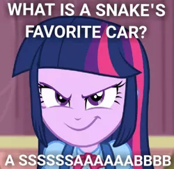 Size: 480x467 | Tagged: safe, derpibooru import, edit, edited screencap, screencap, twilight sparkle, snake, equestria girls, caption, car, image macro, meme, saab, solo, text