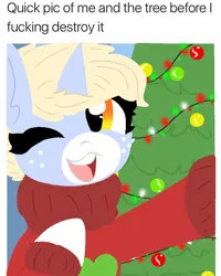 Size: 750x937 | Tagged: artist:nootaz, christmas, christmas tree, derpibooru import, holiday, meme, oc, oc:nootaz, ponified animal photo, pure unfiltered evil, safe, tree, vulgar