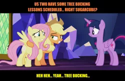 Size: 1920x1246 | Tagged: safe, derpibooru import, edit, edited screencap, screencap, applejack, fluttershy, twilight sparkle, twilight sparkle (alicorn), alicorn, pegasus, pony, sounds of silence, appleshy, caption, female, image macro, innuendo, lesbian, mare, shipping, text