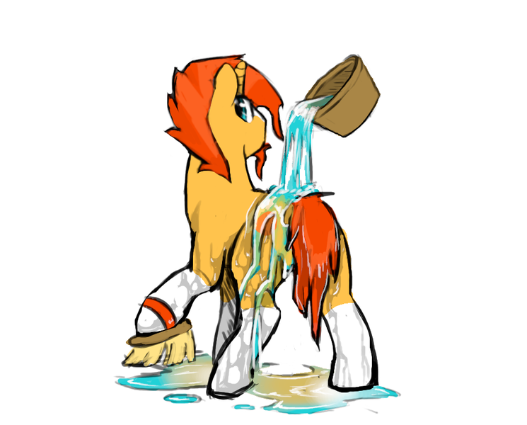 Size: 942x759 | Tagged: artist needed, safe, derpibooru import, sunburst, pony, unicorn, bathing, brush, bucket, cutie mark, facial hair, goatee, looking at you, male, solo, water, wet