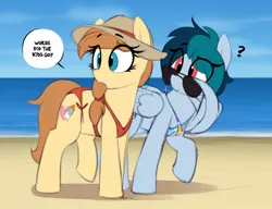 Size: 1222x939 | Tagged: safe, artist:shinodage, derpibooru import, part of a set, oc, oc:cream heart, oc:delta vee, unofficial characters only, earth pony, pegasus, pony, beach, bikini, clothes, duo, duo female, equestrian flag, female, flag bikini, hat, implied apogee, implied button mash, mare, milf, sunglasses, swimsuit, wing hands, wings