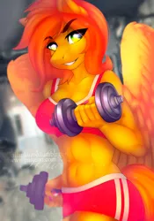 Size: 838x1197 | Tagged: abs, anthro, artist:dolorosacake, belly button, clothes, commission, derpibooru import, female, gym, gym uniform, mare, midriff, oc, oc:camber, opencommissions, pegasus, safe, shorts, solo, sports bra, sports shorts