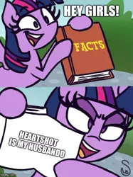 Size: 500x667 | Tagged: safe, derpibooru import, twilight sparkle, twilight sparkle (alicorn), oc, oc:heartshot, alicorn, pony, canon x oc, caption, facts, female, husbando, image macro, imgflip, mare, meme, shipping, shitposting, stalker, text, waifu