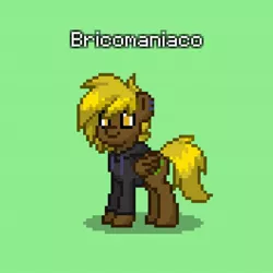Size: 640x640 | Tagged: safe, derpibooru import, oc, oc:bricomaniaco, unofficial characters only, pegasus, pony, pony town, clothes, hoodie, male