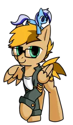 Size: 700x1200 | Tagged: safe, artist:lucky dragon, derpibooru import, minuette, oc, oc:bump sign, pegasus, pony, 2019 community collab, derpibooru community collaboration, clothes, glasses, jacket, male, plushie, simple background, solo, stallion, transparent background