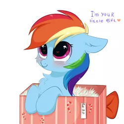 Size: 3000x3000 | Tagged: safe, artist:pesty_skillengton, derpibooru import, rainbow dash, pegasus, pony, blushing, box, cheek fluff, chest fluff, commission, commissioner:raritybro, cute, dashabetes, female, heart eyes, pesty's little gift, pony in a box, present, shipping, solo, weapons-grade cute, wingding eyes, ych result