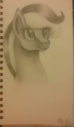 Size: 823x1418 | Tagged: safe, artist:shadow-nights, derpibooru import, oc, unofficial characters only, pony, bust, female, mare, notebook, paper, signature, simple background, smiling, solo, traditional art, white background