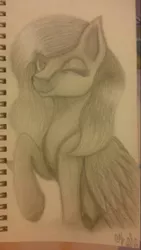 Size: 798x1417 | Tagged: safe, artist:shadow-nights, derpibooru import, oc, unofficial characters only, pegasus, pony, female, folded wings, mare, notebook, one eye closed, paper, signature, simple background, smiling, solo, traditional art, white background, wings, wink