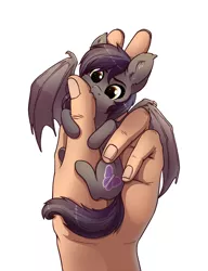 Size: 900x1170 | Tagged: safe, artist:28gooddays, derpibooru import, oc, oc:umbra tempestas, unofficial characters only, bat pony, human, pony, :3, bat pony oc, bat wings, behaving like a bat, biting, commission, cute, cute little fangs, cutie mark, daaaaaaaaaaaw, ear fluff, fangs, female, hand, hnnng, holding a pony, hug, in goliath's palm, mare, micro, nom, ocbetes, simple background, smiling, smol, solo focus, spread wings, tiny, tiny ponies, underhoof, weapons-grade cute, white background, wings, ych result