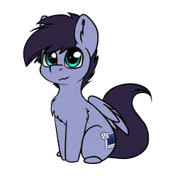 Size: 1962x1950 | Tagged: safe, artist:duop-qoub, derpibooru import, oc, oc:violet phoenix, unofficial characters only, pegasus, pony, 2019 community collab, derpibooru community collaboration, chest fluff, looking at you, male, simple background, sitting, solo, transparent background