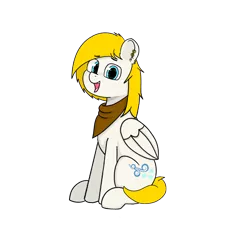Size: 4000x4000 | Tagged: safe, artist:usattesa, derpibooru import, oc, oc:winter wings, unofficial characters only, pony, 2019 community collab, derpibooru community collaboration, bandana, simple background, solo, transparent background