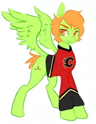Size: 1000x1287 | Tagged: safe, artist:perfect-sloth, derpibooru import, oc, oc:knuckle puck, unofficial characters only, pegasus, pony, calgary, calgary flames, clothes, fire, hockey, ice hockey, jersey, nhl, simple background, solo, sports, white background