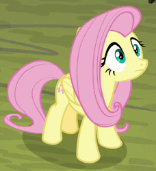 Size: 616x676 | Tagged: safe, derpibooru import, edit, edited screencap, screencap, fluttershy, pony, the mean 6, animated, blinking, caption, confluttershy, confused, cropped, discombobulated, fourth wall, gif, gif with captions, impact font, meme, reaction image, solo, what just happened