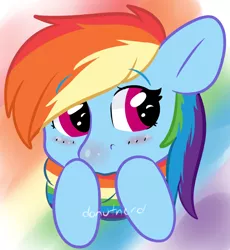 Size: 1544x1677 | Tagged: safe, artist:donutnerd, derpibooru import, rainbow dash, pegasus, pony, blushing, clothes, cold, female, gay pride flag, head, headcanon, lgbt, lgbt headcanon, looking away, mare, pride, pride accessories, pride flag, pride flag scarf, red nosed, scarf, sexuality headcanon, solo