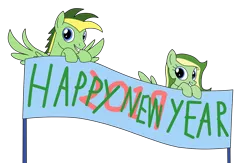 Size: 1280x837 | Tagged: safe, artist:ashakalovsky, artist:didgereethebrony, derpibooru import, oc, oc:boomerang beauty, oc:didgeree, pegasus, pony, 2019, banner, base used, blue eyes, boomeree, happy new year, happy new year 2019, holiday, looking at you, simple background, transparent background