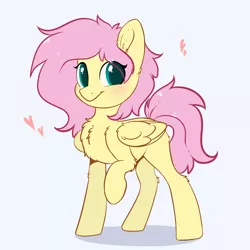 Size: 1024x1024 | Tagged: safe, artist:kebchach, derpibooru import, fluttershy, pegasus, pony, :t, alternate hairstyle, blushing, chest fluff, cute, ear fluff, female, fluffy, folded wings, heart, leg fluff, looking at you, mare, messy mane, missing cutie mark, raised hoof, shyabetes, simple background, smiling, solo, standing, three quarter view, white background, wing fluff, wings