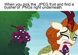 Size: 1280x900 | Tagged: safe, derpibooru import, edit, edited screencap, screencap, autumn blaze, tempest shadow, kirin, pony, unicorn, sounds of silence, amazing, caption, disgusted, exploitable meme, female, image macro, jpeg fruit, looking back, mare, meme, meta, needs more jpeg, png, png fruit, recoil, scam, shitposting, text, tongue out, tree, wat