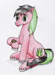 Size: 1743x2373 | Tagged: safe, artist:40kponyguy, derpibooru import, oc, oc:red cedar, unofficial characters only, earth pony, pony, ear fluff, male, raised hoof, solo, stallion, traditional art, unshorn fetlocks, watch, wristwatch