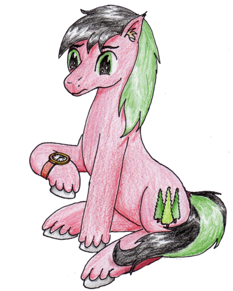 Size: 1421x1771 | Tagged: safe, artist:40kponyguy, derpibooru import, editor:binkyt11, oc, oc:red cedar, unofficial characters only, earth pony, pony, 2019 community collab, derpibooru community collaboration, ear fluff, male, raised hoof, simple background, solo, stallion, traditional art, transparent background, unshorn fetlocks, watch, wristwatch