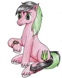 Size: 1421x1771 | Tagged: safe, artist:40kponyguy, derpibooru import, editor:binkyt11, oc, oc:red cedar, unofficial characters only, earth pony, pony, 2019 community collab, derpibooru community collaboration, ear fluff, male, raised hoof, simple background, solo, stallion, traditional art, transparent background, unshorn fetlocks, watch, wristwatch