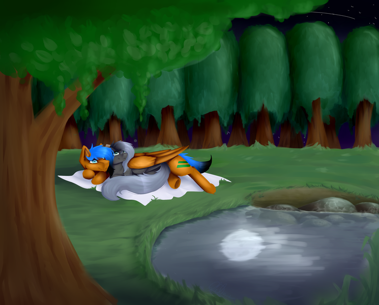 Size: 3600x2900 | Tagged: safe, artist:lilrandum, derpibooru import, oc, oc:lilrandum, oc:xxenocage, unofficial characters only, couple, cuddling, detailed, detailed background, forest, gift art, looking at something, moonlight, outdoors, pond, present, reflection, shipping, side, water