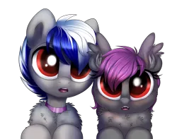 Size: 2381x1877 | Tagged: safe, artist:confetticakez, derpibooru import, oc, oc:andromeda aurora, oc:bassy, bat pony, pegasus, pony, bat pony oc, bat wings, begging, chest fluff, collar, cute, cute little fangs, ear fluff, fangs, ocbetes, open mouth, simple background, transparent background, wings