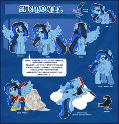 Size: 3595x3733 | Tagged: safe, artist:centchi, derpibooru import, oc, oc:stormquill, unofficial characters only, bird, magpie, pegasus, pony, clothes, cloud, dress, female, filly, gala dress, glasses, mare, reference sheet, solo