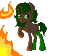 Size: 4600x3450 | Tagged: safe, artist:dumbwoofer, derpibooru import, oc, oc:pine shine, pony, unicorn, clothes, female, fire, image, mare, png, socks, solo, this is fine