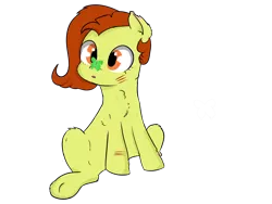 Size: 4600x3450 | Tagged: safe, artist:dumbwoofer, derpibooru import, oc, oc:trippo, butterfly, earth pony, pony, fallout equestria, amputee, casual nudity, chest fluff, curious, cut, cute, female, mare, missing limb, nudity, raider, scar, scared, sitting, solo, stump, underhoof