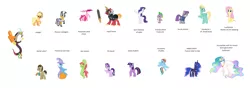 Size: 8408x2960 | Tagged: safe, derpibooru import, edit, editor:proto29, applejack, big macintosh, discord, doctor whooves, fluttershy, maud pie, pinkie pie, princess celestia, princess luna, rainbow dash, rarity, spike, starlight glimmer, time turner, tree hugger, trixie, twilight sparkle, twilight sparkle (alicorn), zecora, zephyr breeze, alicorn, pony, unicorn, dislestia, female, male, mane six, race swap, shipping, simple background, sir mcbiggen, straight, sword, unicorn big mac, weapon, white background