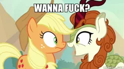 Size: 600x337 | Tagged: suggestive, derpibooru import, edit, edited screencap, screencap, applejack, autumn blaze, earth pony, kirin, sounds of silence, autumnjack, caption, female, image macro, implied sex, lesbian, shipping, subtle as a train wreck, text, vulgar