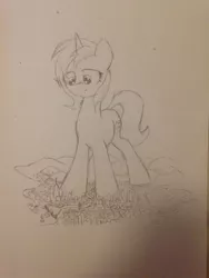 Size: 960x1280 | Tagged: safe, artist:ravistdash, derpibooru import, oc, oc:laza, pony, unicorn, building, city, crush fetish, crushing, destruction, fetish, macro, ocean, pencil drawing, river, sketch, traditional art