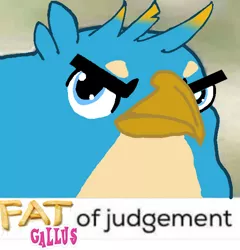 Size: 600x625 | Tagged: safe, derpibooru import, gallus, gryphon, 1000 years in photoshop, angry, birb, caption, crow of judgement, expand dong, exploitable meme, fat, frown, glare, image macro, judgement, judging, looking at you, male, meme, reaction image, shitposting, solo, text