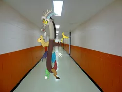 Size: 500x375 | Tagged: safe, artist:anthony60617, derpibooru import, discord, pony, draconequus in real life, hallway, irl, photo, ponies in real life, school