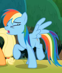 Size: 578x677 | Tagged: safe, derpibooru import, screencap, applejack, rainbow dash, pegasus, pony, non-compete clause, cropped, cutie mark, eyes closed, female, invisible stallion, mare, offscreen character, out of context, raised hoof, wings