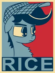 Size: 1250x1650 | Tagged: safe, artist:chopsticks, derpibooru import, oc, oc:chopsticks, unofficial characters only, pegasus, pony, clothes, food, hat, hope poster, male, poster, rice, shepard fairey, solo, stallion, text