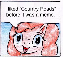 Size: 887x793 | Tagged: 40kponyguy pinkie pie meme, artist:40kponyguy, derpibooru import, edit, exploitable meme, face of mercy, looking at you, meme, pinkie pie, safe, solo, take me home country roads, traditional art