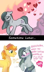 Size: 1023x1668 | Tagged: safe, artist:dreamscapevalley edits, artist:mylittlegodzilla, derpibooru import, edit, big macintosh, braeburn, marble pie, pinkie pie, sugar belle, best gift ever, aftermath, blushing, braeble, cute, episode followup, episode idea, everything went better than expected, female, good end, heart, heartbreak, heartbroken marble, introduction, male, nuzzling, sad, ship sinking, shipper on deck, shipper pie, shipping, shipping denied, shy, side chick, smiling, sometime later..., speculation, straight, sugarmac