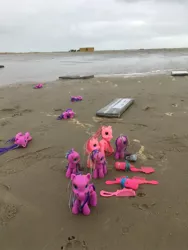 Size: 1200x1600 | Tagged: safe, derpibooru import, pony, beach, bootleg, brush, flotsam, g3.5, irl, knockoffs, merchandise, netherlands, photo, toy