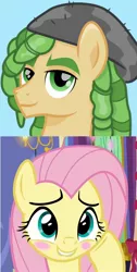 Size: 1146x2280 | Tagged: safe, artist:cloudyglow, derpibooru import, edit, screencap, fluttershy, sandalwood, ponified, pegasus, pony, best gift ever, adorable face, blushing, cropped, cute, daaaaaaaaaaaw, embarrassed, equestria girls ponified, female, hnnng, lip bite, male, mare, sandalshy, shipping, shyabetes, smiling, stallion, straight